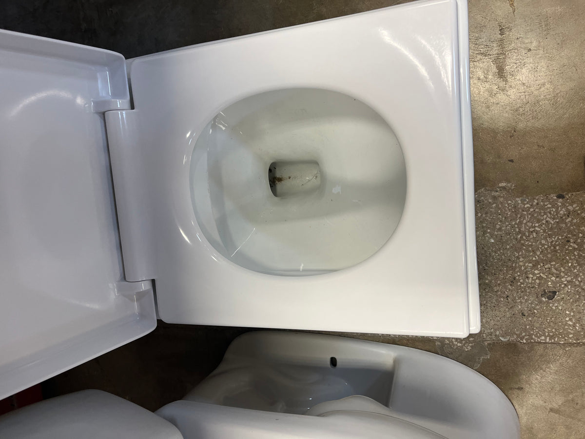Interior Gallery toilet dual flush